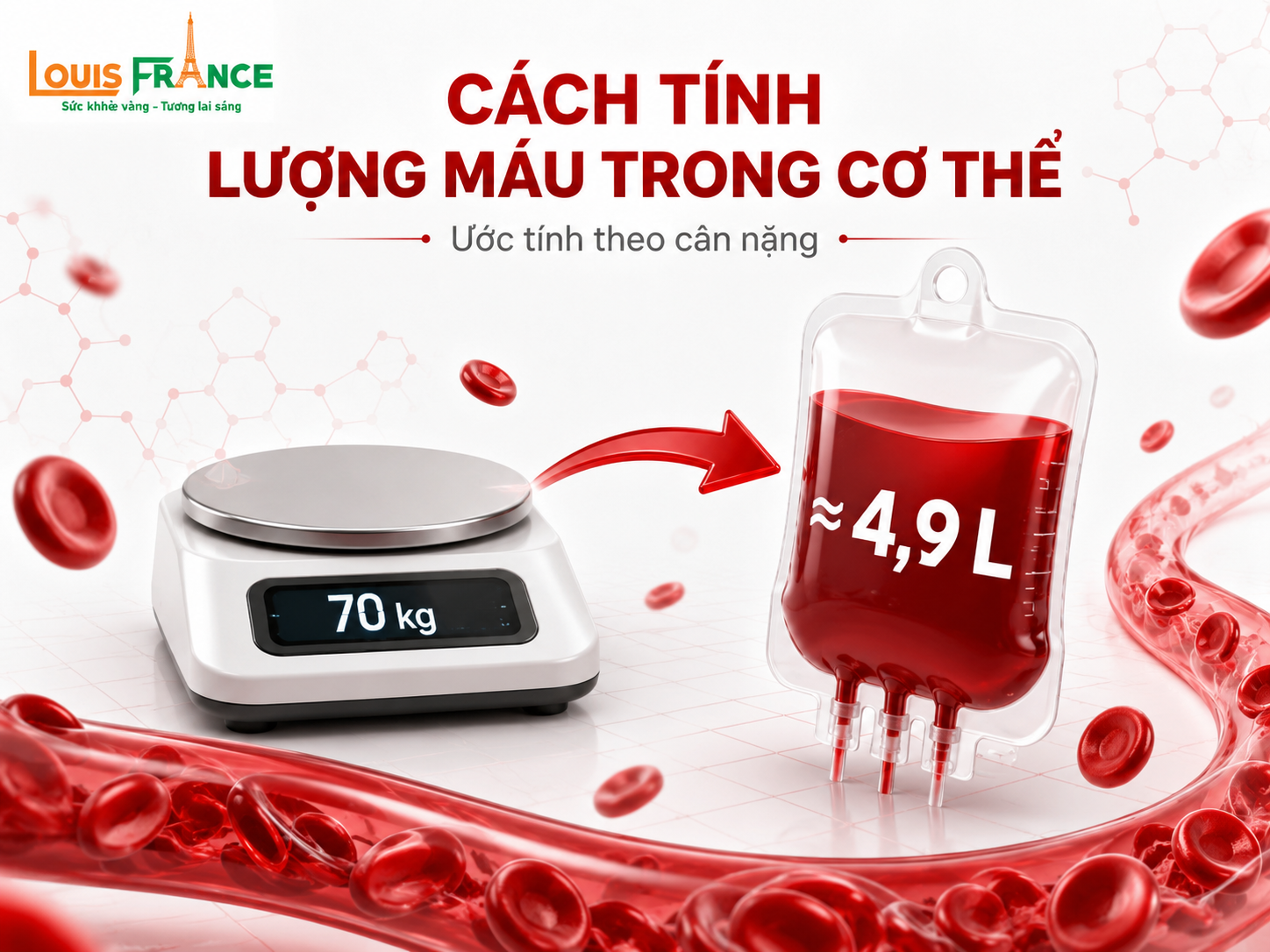 Cách tính lượng máu trong cơ thể