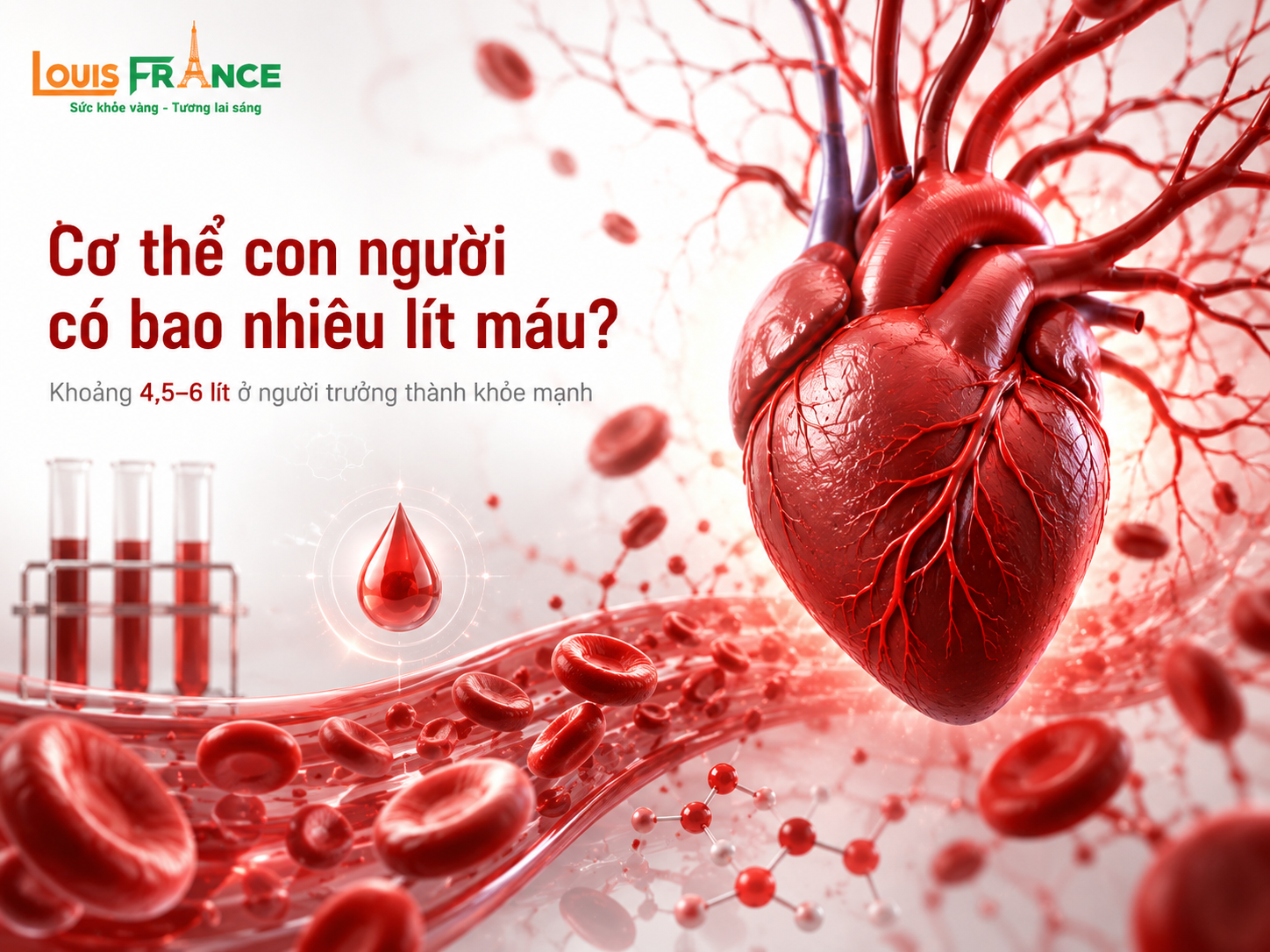 Cơ thể con người có bao nhiêu lít máu?