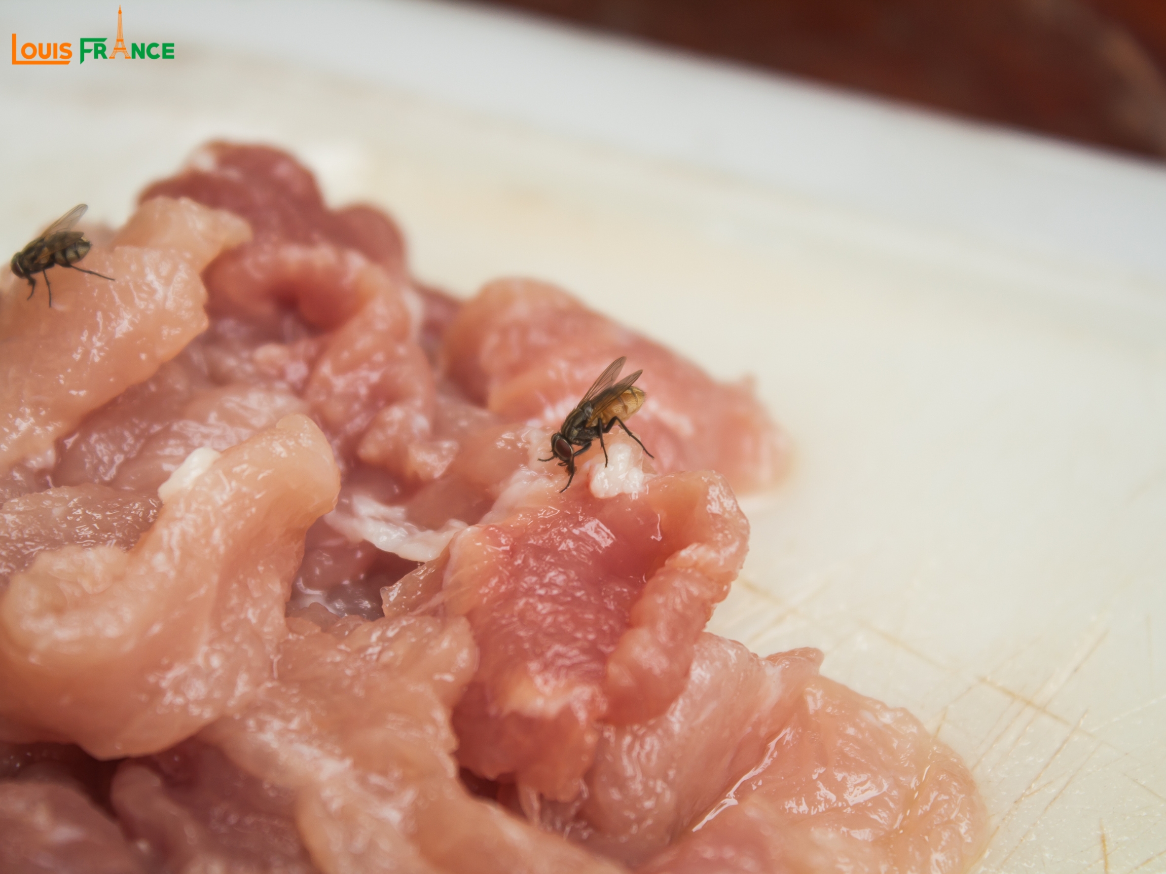 Nhiễm khuẩn tiêu hoá